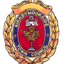 councillogo.png